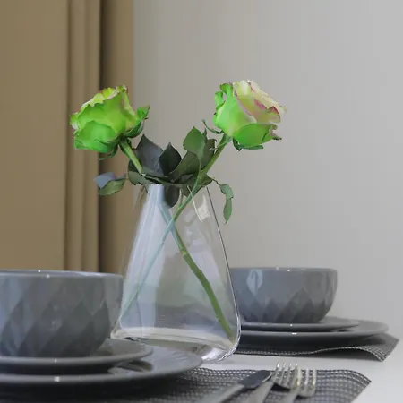 地拉那奥达酒店